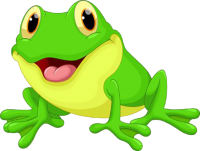 a green frog